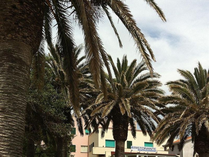 صورة الفندق 23