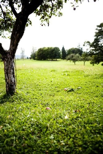 صورة الفندق 21