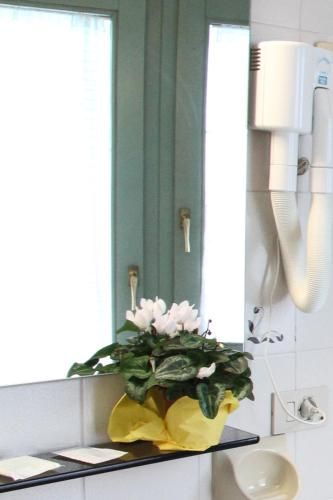 صورة الفندق 12