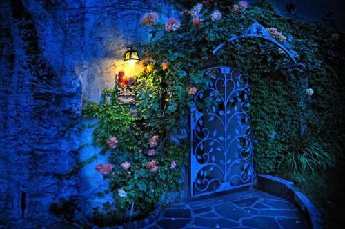 صورة الفندق 19