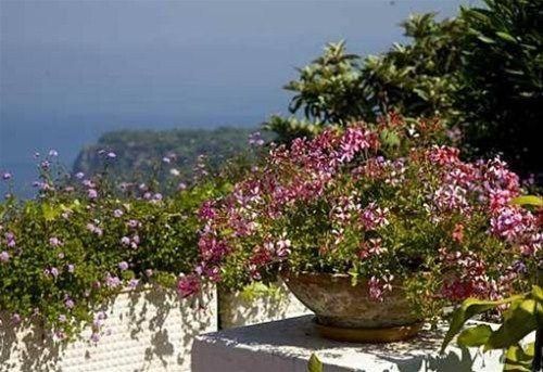 صورة الفندق 18