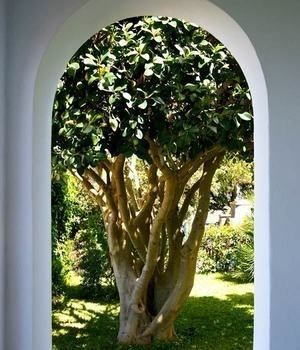صورة الفندق 1