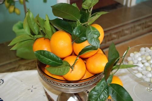 صورة الفندق 17