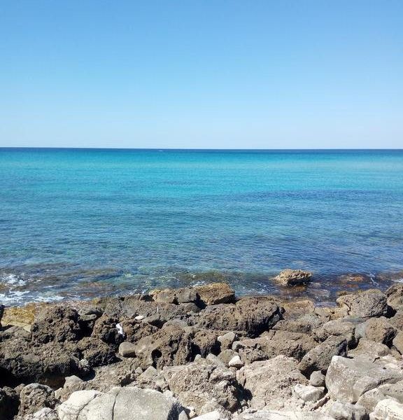صورة الفندق 15