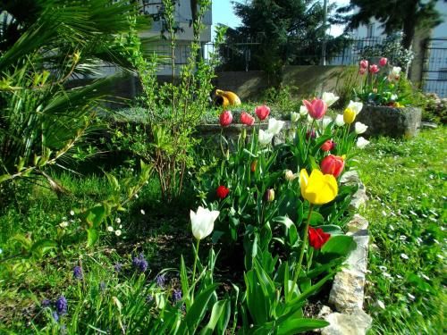صورة الفندق 17