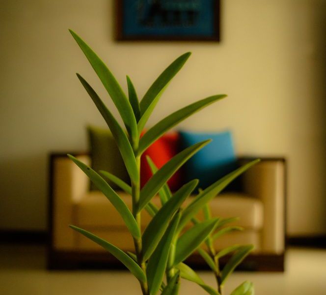 صورة الفندق 14