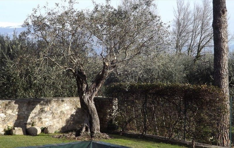 صورة الفندق 16