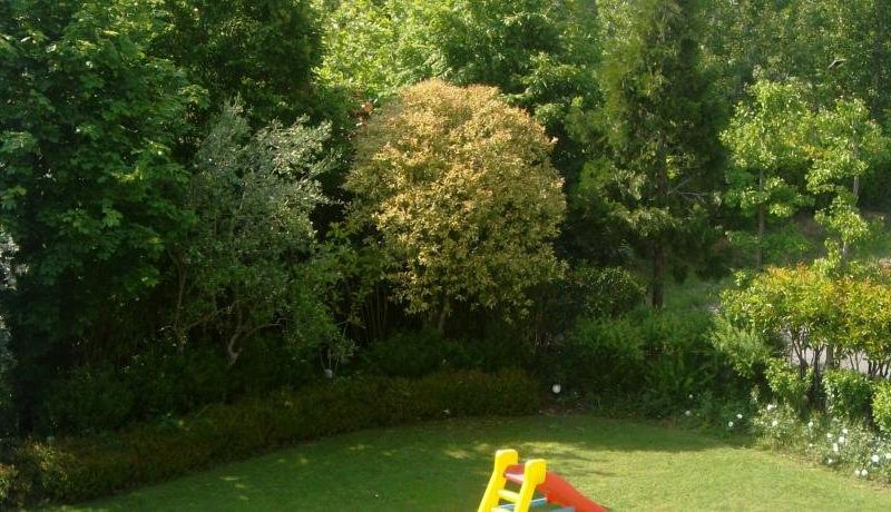 صورة الفندق 23