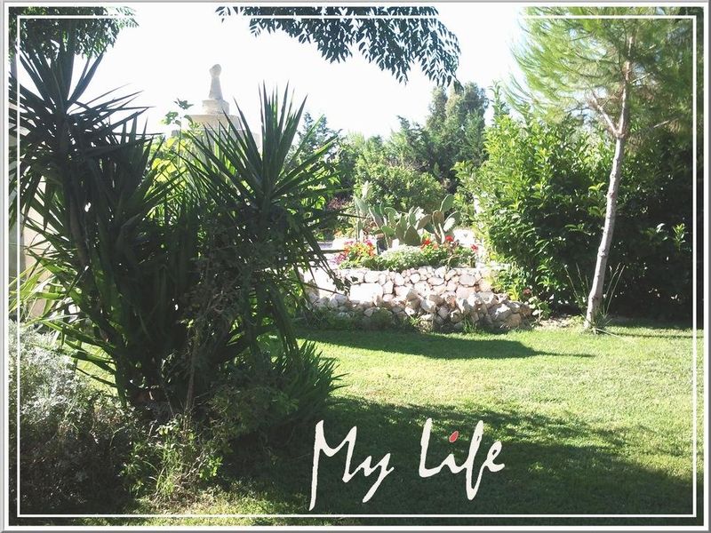 صورة الفندق 12