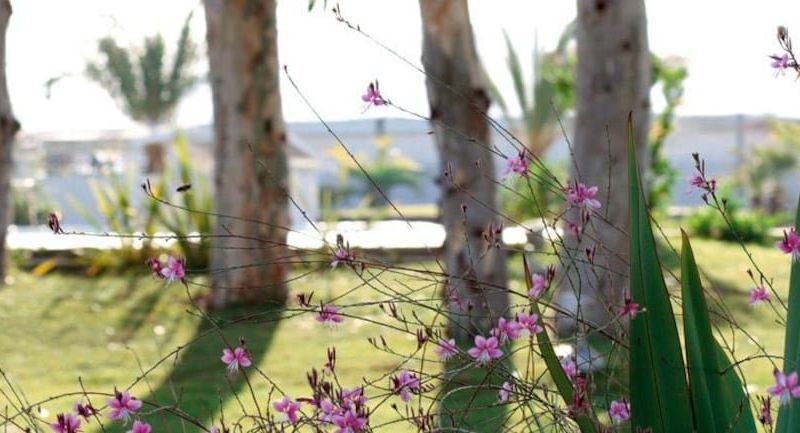 صورة الفندق 20