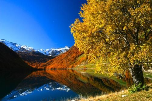 صورة الفندق 22
