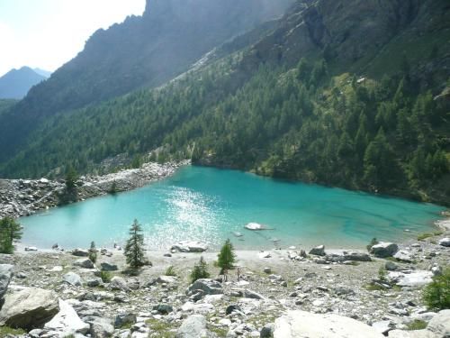 صورة الفندق 19