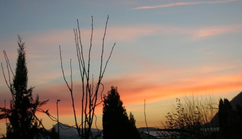 صورة الفندق 21