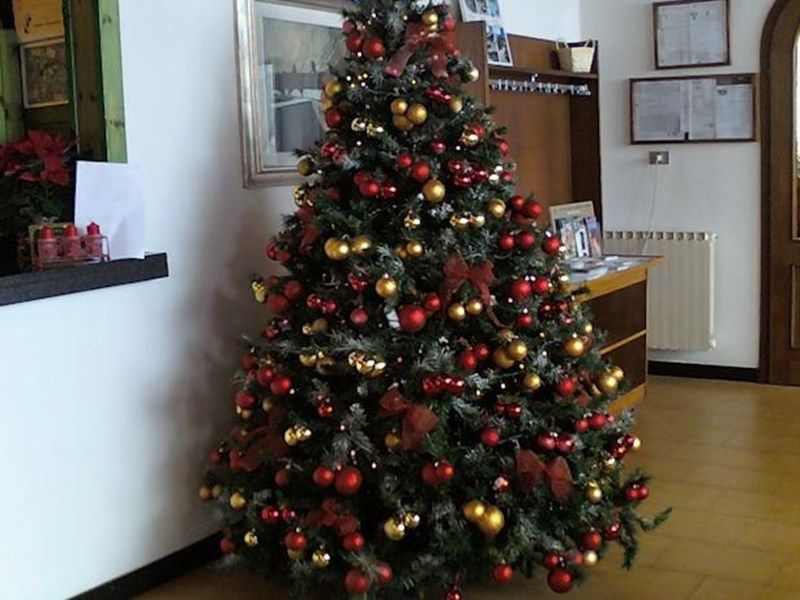صورة الفندق 9