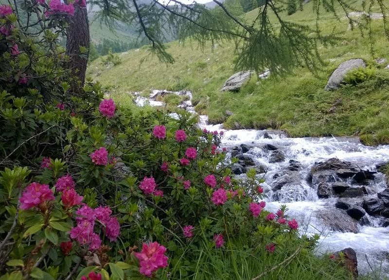 صورة الفندق 14