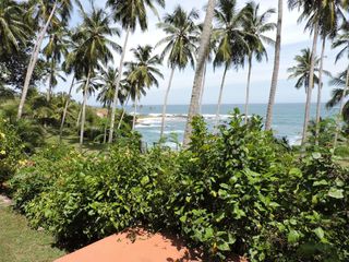 Фото отеля Eva Lanka Hotel - Beach & Wellness