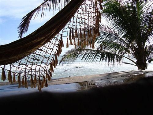 صورة الفندق 17