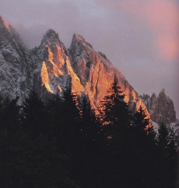 صورة الفندق 6