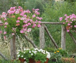 Agriturismo Il Colle Arezzo Italy