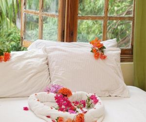 Pure Oasis Resort Negril Jamaica
