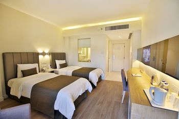 image of hotel AlQasr Metropole Hotel