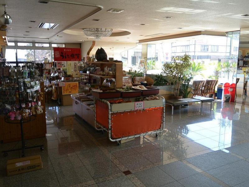 صورة الفندق 14