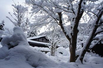 صورة الفندق 19