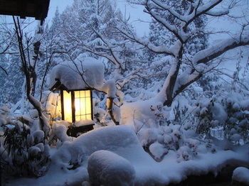 صورة الفندق 22