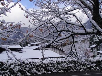 صورة الفندق 24