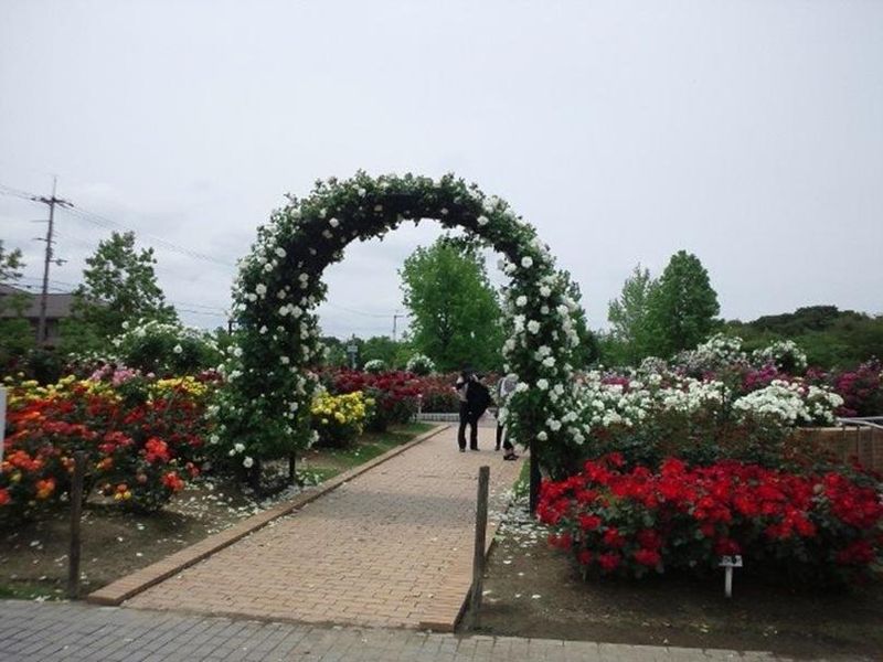 صورة الفندق 19