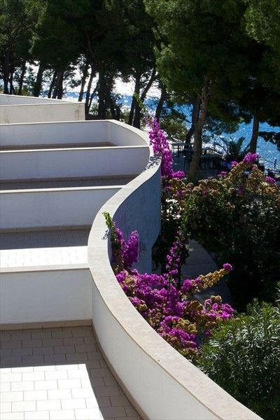 صورة الفندق 21
