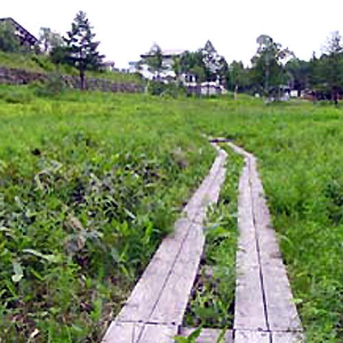 صورة الفندق 2