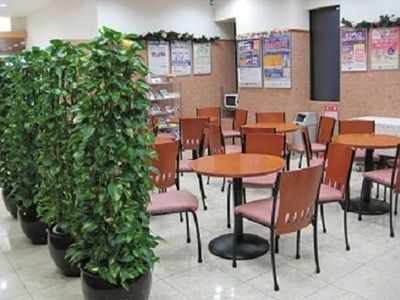 Hotel Photo 16
