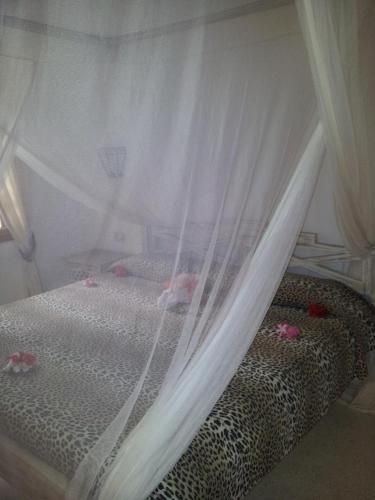 صورة الفندق 11