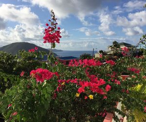 Rock Haven Bed & Breakfast Frigate Bay Saint Kitts and Nevis