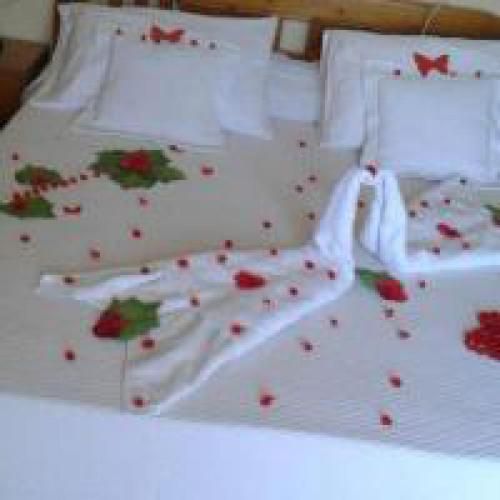 صورة الفندق 9