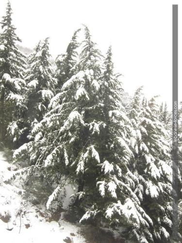 صورة الفندق 19