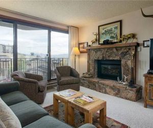 Bronze Tree Condominiums - BT207 Steamboat Springs United States