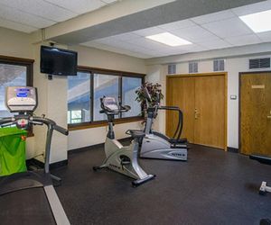 Bronze Tree Condominiums - 406 Steamboat Springs United States