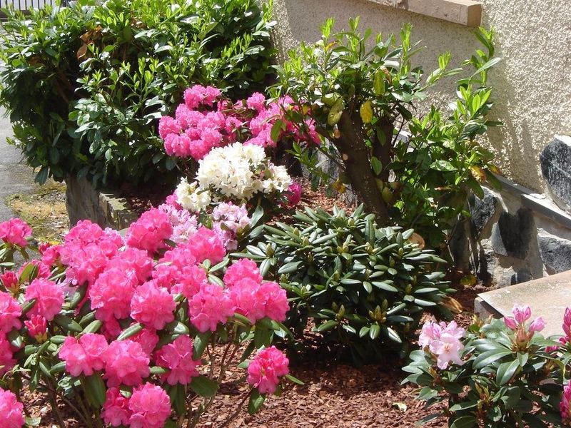 صورة الفندق 18