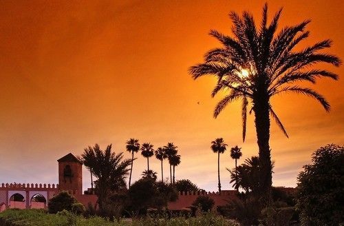 صورة الفندق 21