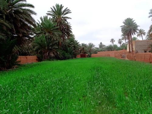 صورة الفندق 14