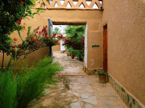 صورة الفندق 16