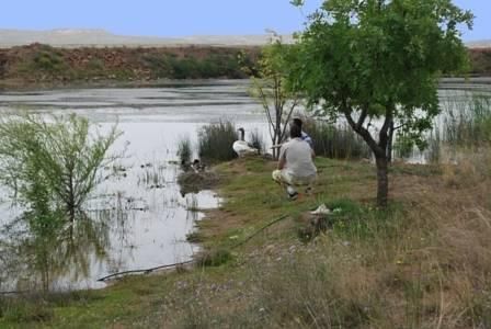 صورة الفندق 12