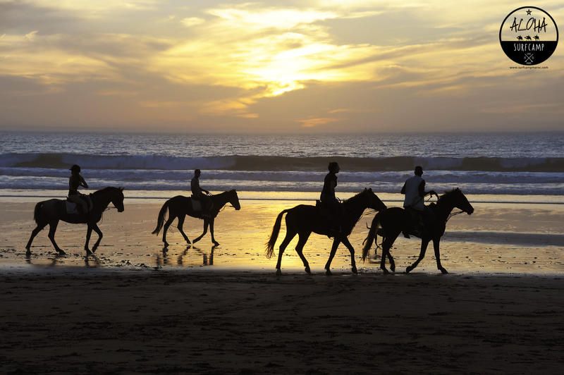 صورة الفندق 22