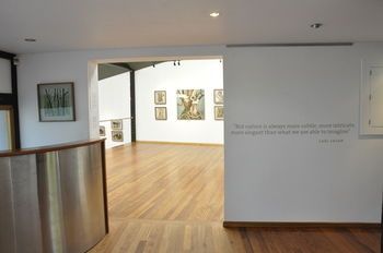 صورة الفندق 4