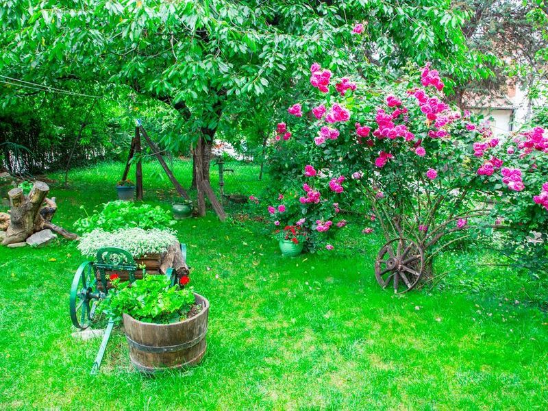 صورة الفندق 20
