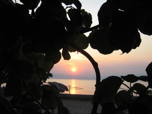 صورة الفندق 18