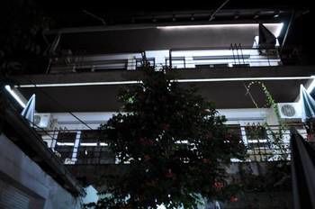 صورة الفندق 13