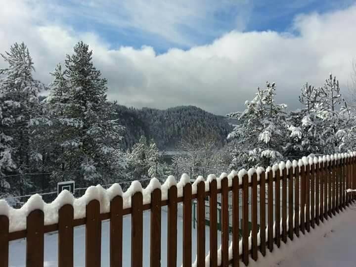 صورة الفندق 16
